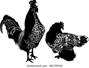 silhouette of the cock and hen