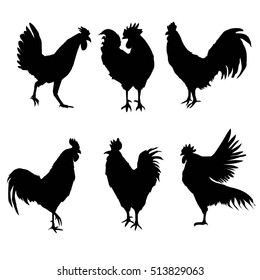 silhouette COCK - vector, illustration