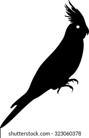 Silhouette of cockatiel