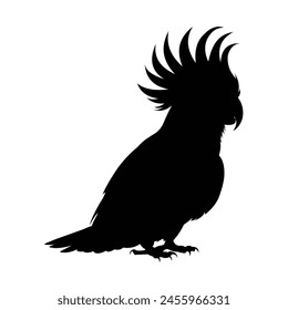 silhouette of a cockatoo on white 