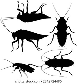 Silhouette of cockroach. insect vector illustration.
