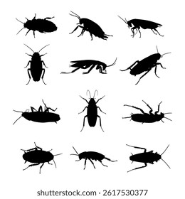 silhouette cockroach on white background