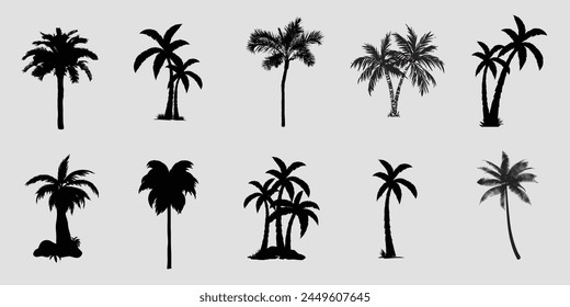 Tipos De Silueta De Coco, Colección De Palmera, Árbol De Silueta Aislado En El Fondo, Árboles Negros De Vector