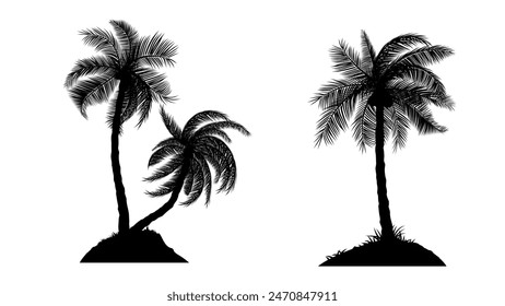 Silhouette of Coconut Palm Tree with isolated white background Vector illustration