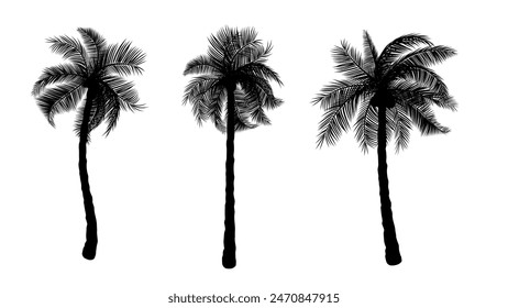 Silueta de palmera de coco con Ilustración vectorial aislada de fondo blanco