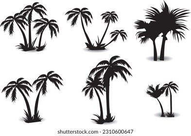 silhouette of coconut tree in arabic