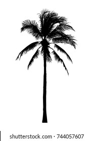 silhouette of coconut tree, natural palm illustration, vector summer sign