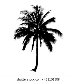 silhouette coconut tree. vector logo design. isolated natural plant sign