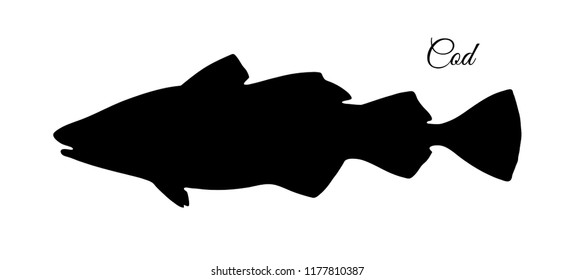 Silhouette of cod fish. Hand drawn vector illustration isolated on white background.