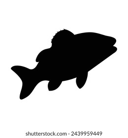 silhouette of a cod fish on white