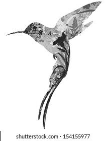 silhouette of colibri in tropical flowers, grass and insects. black and white. white background, vector illustration