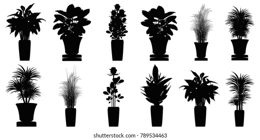 Silhouette collection beautiful ornamental plants for the garden and home , Green foliage in pots , Isolated tree vector.