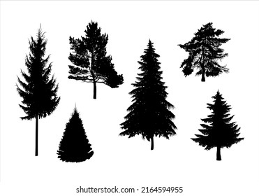 Silhouette collection of fir, spruce and pine trees. Vector illustration isolated from background. 