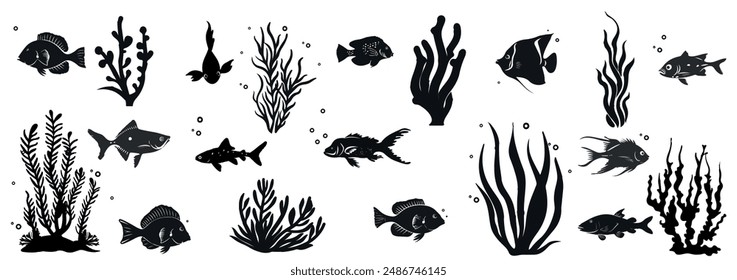 Silhouette Collection of Fish and Seaweed Illustration. Summer marine retro collection. Marine Life Vector Set. Ocean animal illustration