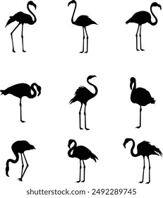 A silhouette collection of flamingos 