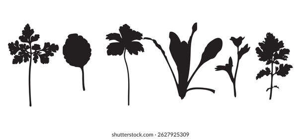 Silhouette Collection of Herb and Leaf Shapes Isolated
