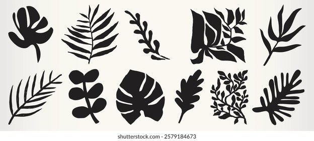 Silhouette collection of various leaves. Black leaf silhouettes include ferns, palms, and tropical designs. Decorative leaf silhouettes for design use. Nature illustrations, isolated vector set.