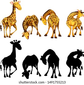 Silhouette, color and outline version of four giraffes illustration