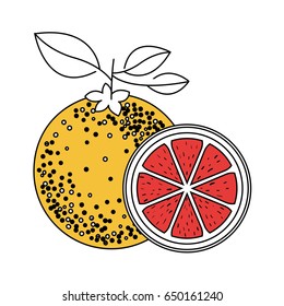 silhouette color section of one lemon fruit and lemon slice vector illustration