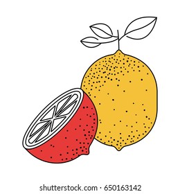 silhouette color section of one orange fruit and half orange cut vector illustration