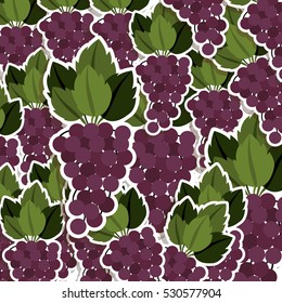 silhouette colorful pattern of bunch grapes with stem and leafs