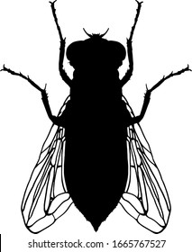 512 Housefly Outline Images, Stock Photos & Vectors | Shutterstock