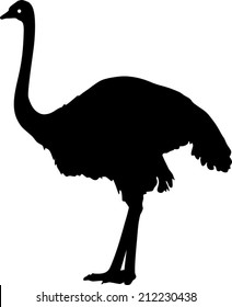 Download Ostrich Silhouette Images, Stock Photos & Vectors ...