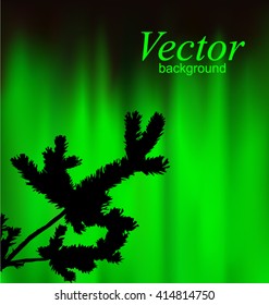  Silhouette of coniferous branch on the background of green sky. Evening. Northern lights. Neon presentation.