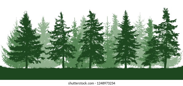 Silhouette of coniferous forest, beautiful fir trees. Isolated on white background. Vector illustration.