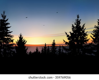 Silhouette of  coniferous forest, sea horizon and colorful sky. Sunset. Eps 10