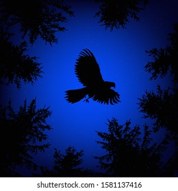 Silhouette of coniferous trees on the background of blue sky. 