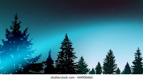 Silhouette of coniferous trees on the background of colorful sky.  Night. Northern lights. Blue and turquoise tones.