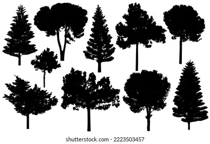 Silhouette of coniferous trees, pine, cypress. Vector illustration