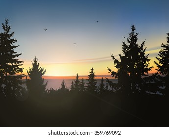 Silhouette of coniferous trees, sea horizon and colorful sky. Eps 10.
