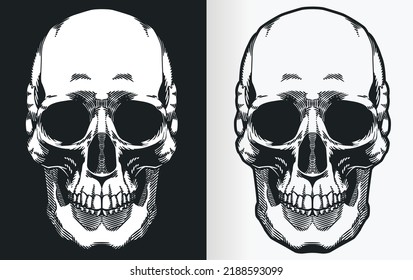 Un contorno de silueta de un cráneo humano desde la perspectiva del frente
