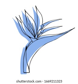 Silhouette and contour of Strelitzia reginae tropical flower of South Africa. Stylized colorful flower of royal strelitzia, bird of paradise, crane-flower. Exotic jungle .Vector illustration 