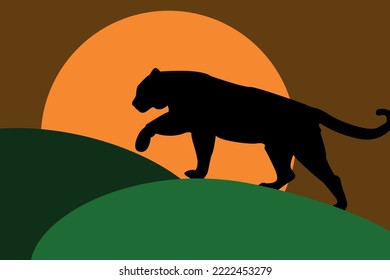 Silhouette, contour of a tiger, puma, panther, against the background of sunrise or sunset.