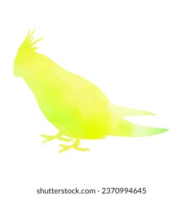 Silhouette of a Corella parrot. done in watercolor style. (Nymphicus hollandicus) . Cockatoo ,Cockatiel . Gradient yellow-green fill .Delicate, beautiful illustration.