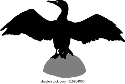 silhouette of cormorant