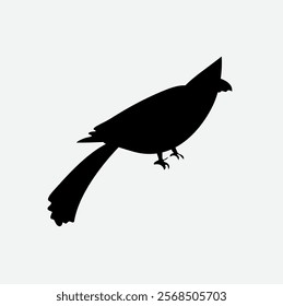 Silhouette of cormorant on the beach. Seagull with head turned to the right. Vector isolated illustration. Icon seagulls. Black color