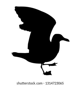 Silhouette of a cormorant that flaps its wings. Vector isolated illustration of seagull icon. Black color.