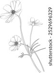 Silhouette of cosmos flower coloring pages, peatal leaves of branch vector illustration, cosmos flower free printable silhouette design line art isolated on white backgrounds