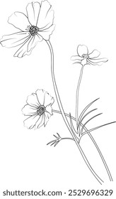 Silhouette of cosmos flower coloring pages, peatal leaves of branch vector illustration, cosmos flower free printable silhouette design line art isolated on white backgrounds