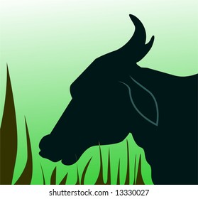  silhouette of a cow	