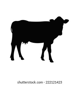 16,143 Silhouette Of Calf Images, Stock Photos & Vectors | Shutterstock