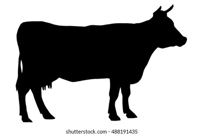 Silhouette of a cow. Cattle. Circuit. Farm. Bull. Black and white drawing by hand.