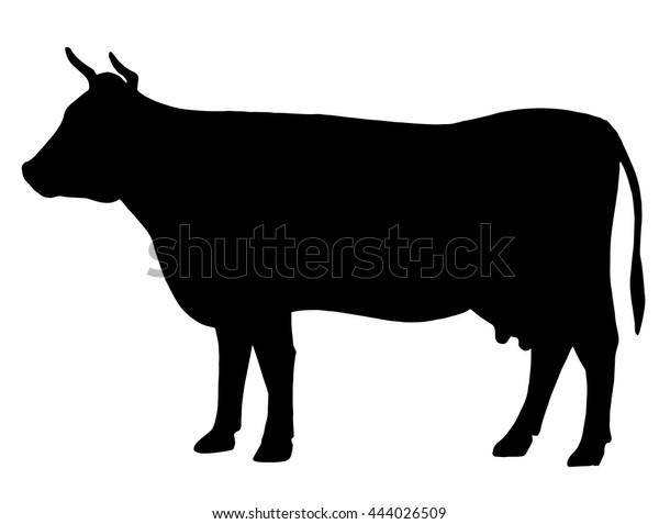 牛のシルエット 牛 回路 農場 ブル 白黒の手描き のベクター画像素材 ロイヤリティフリー