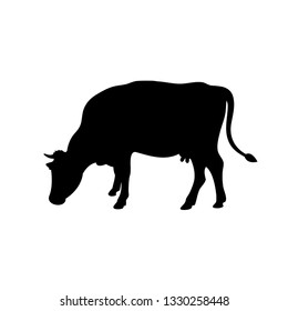 Silhouette of a cow. Farm animal. Cattle. Vector illustration isolated on white background.