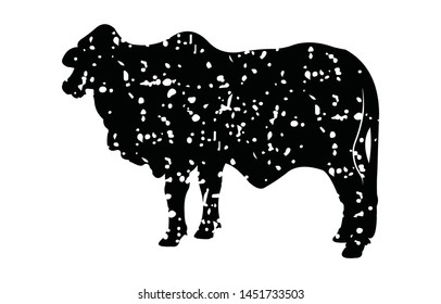 Silhouette of a cow. of farm animals cows isolated on white.