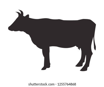 Silhouette cow on white background. Vector icon.